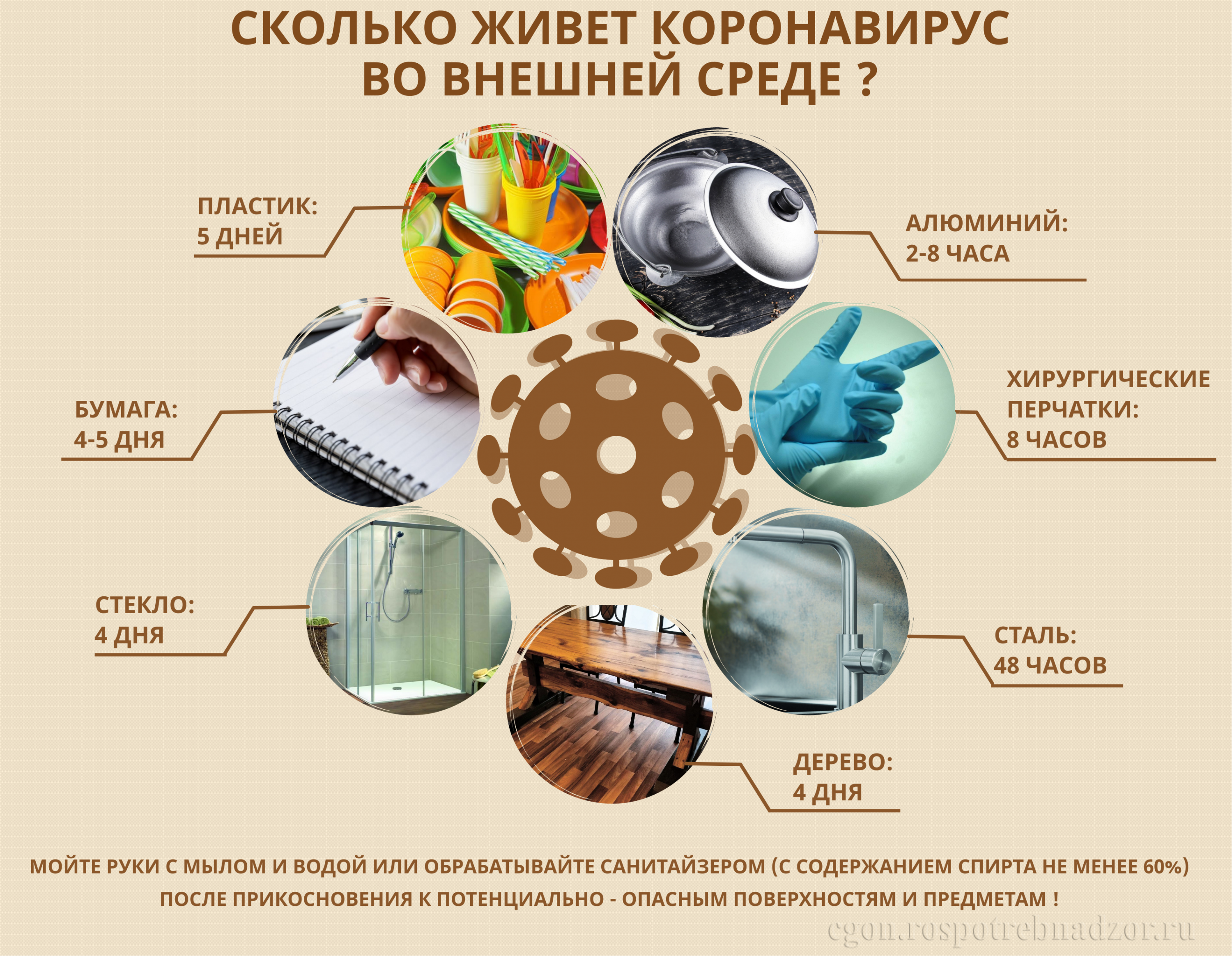 Сколько живет коронавирус во внешней среде.png