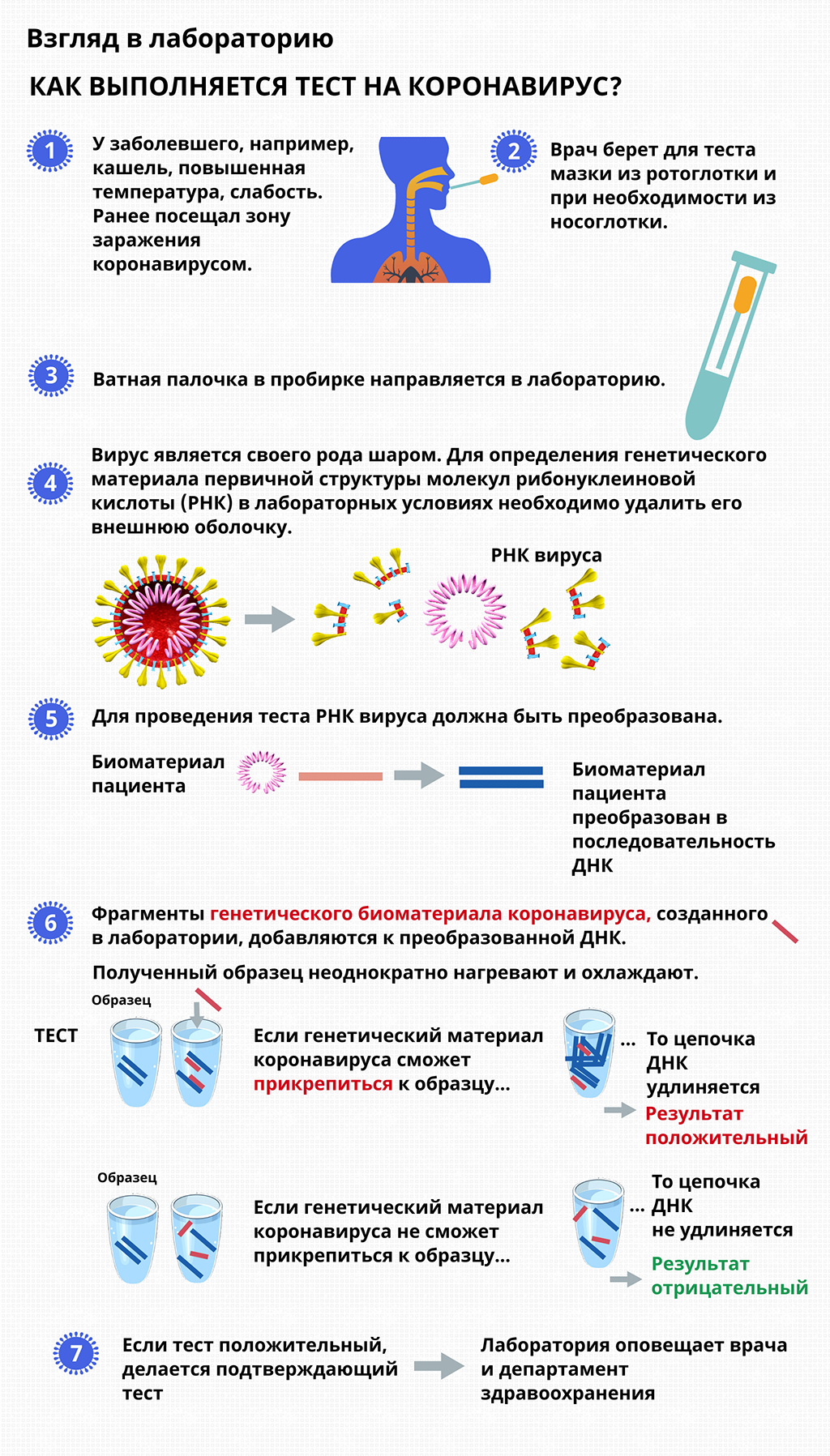 Как выполняется тест на коронaвирус.png